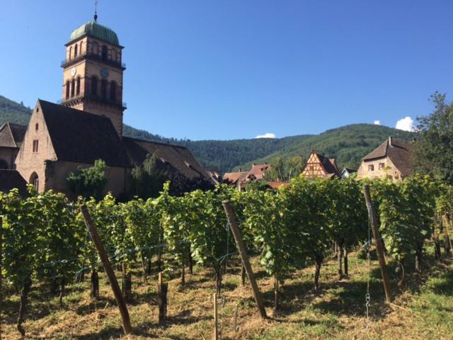 Appartement Au Charme Alsacien Kaysersberg-Vignoble Exterior foto