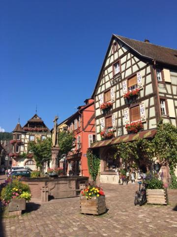 Appartement Au Charme Alsacien Kaysersberg-Vignoble Exterior foto
